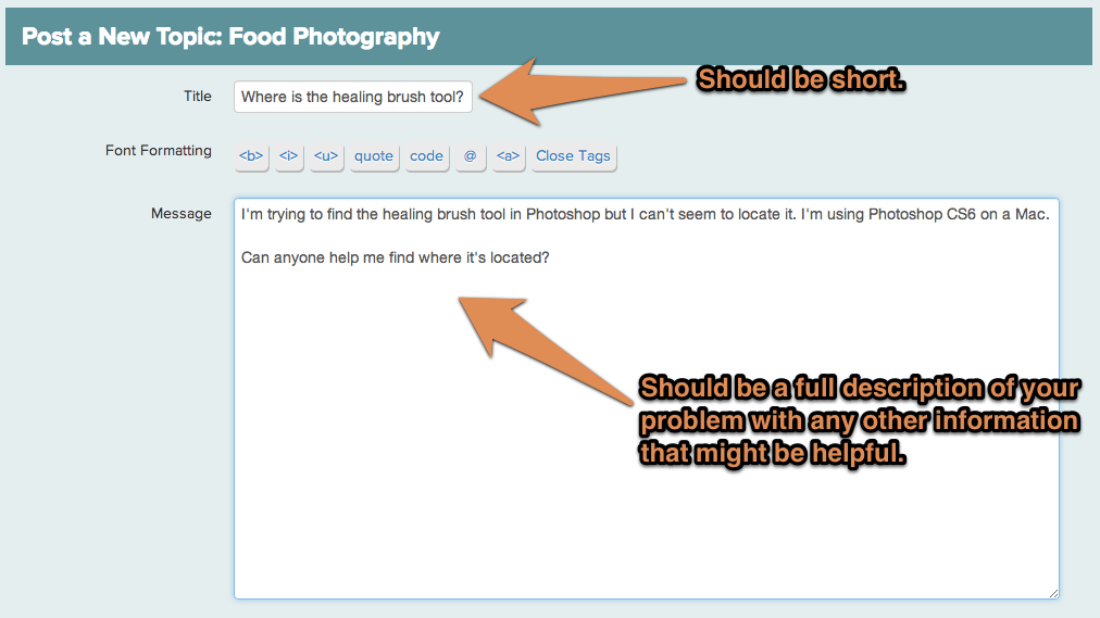 Screenshot of the Food Blogger Pro forum 'Post a New Topic' area with title and message highlighted