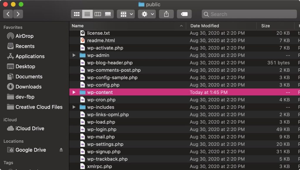 WordPress folder with the wp-content folder highlighted