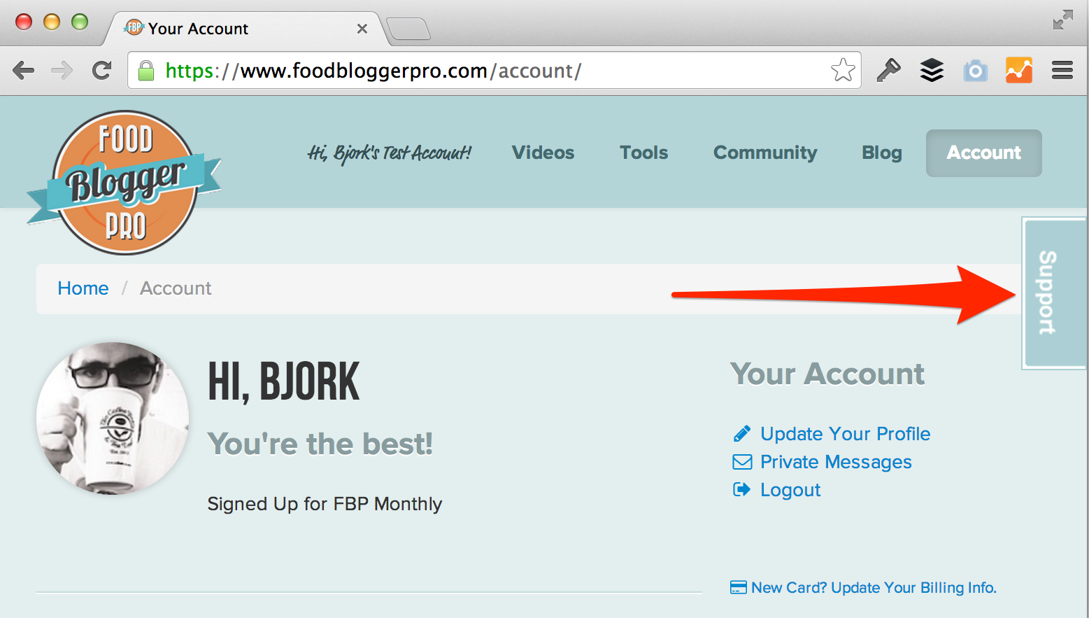 Food Blogger Pro support button indicated with red arrow