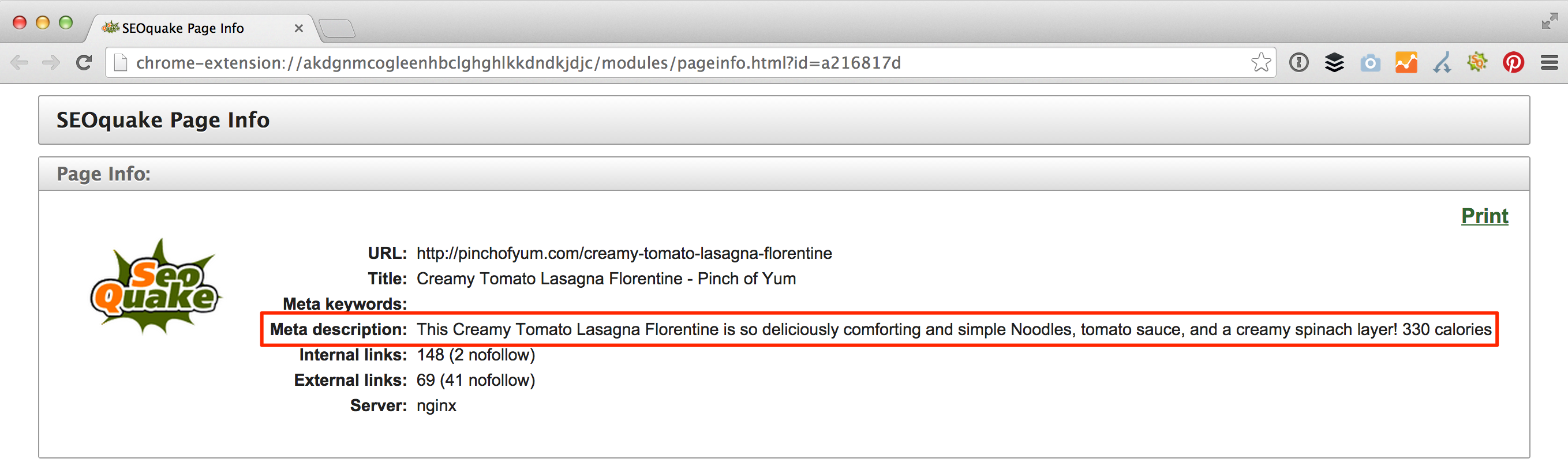 SEOquake Page Info result