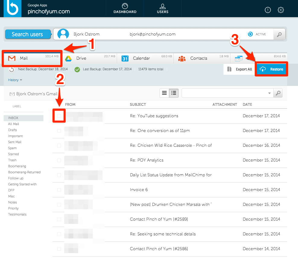 Pinch of Yum Backupify dashboard with mail and restore highlighted in red