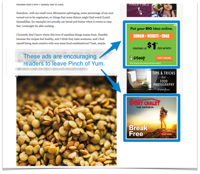Ads on Pinch of Yum highlighted with text that reads 'These ads are encouraging readers to leave Pinch of Yum.'