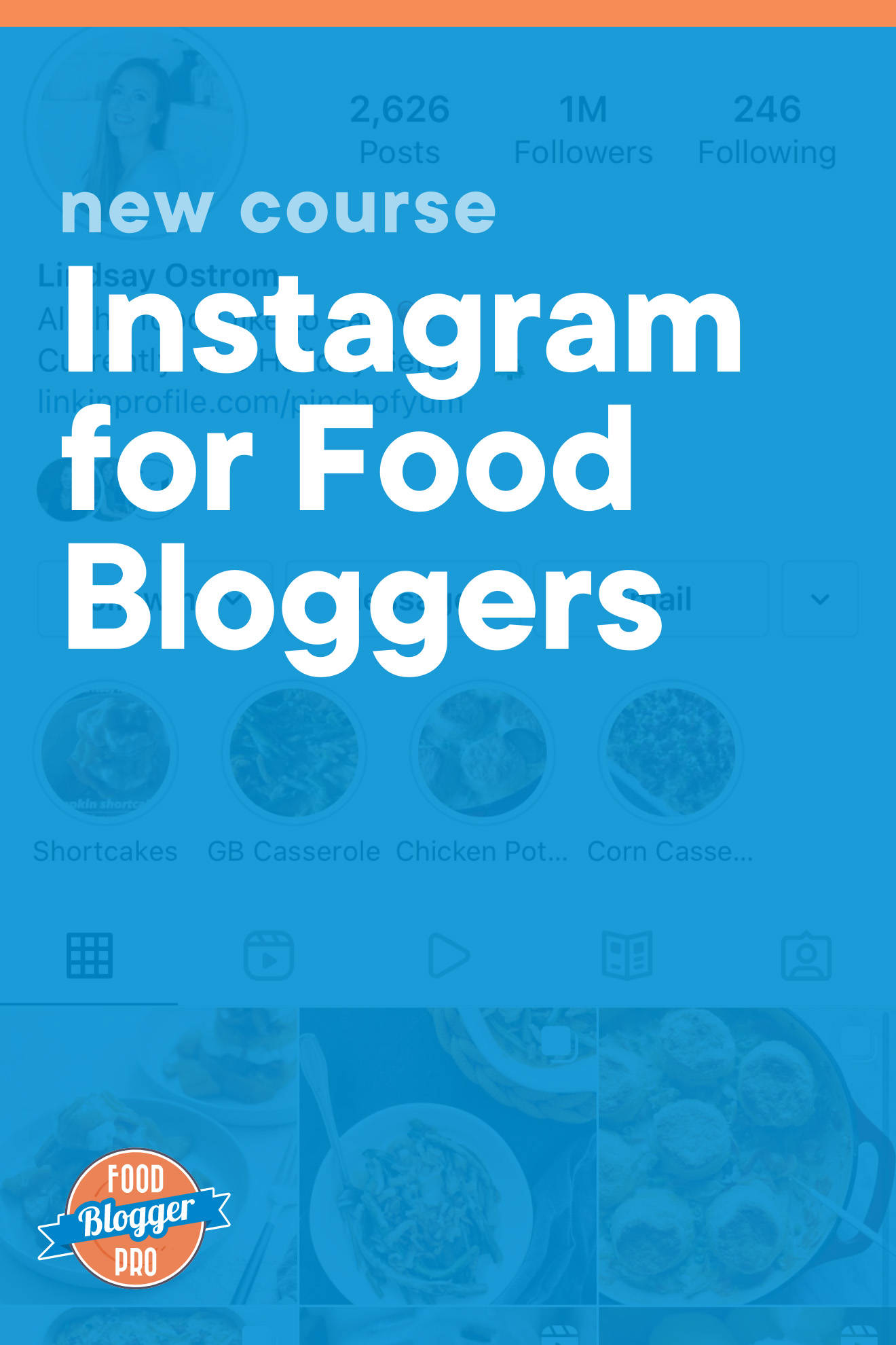 Blue graphic of the Pinch of Yum Instagram feed that reads 'New Course: Instagram for Food Bloggers' with Food Blogger Pro logo