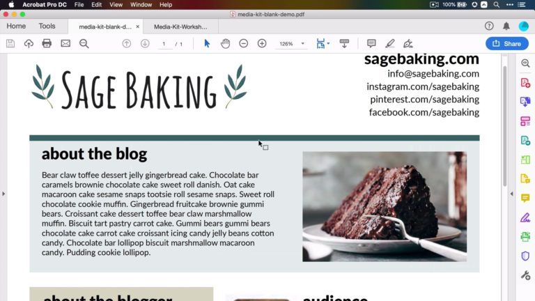 Front page of Sage Baking Media Kit as part of Food Blogger Pro course on Media Kits
