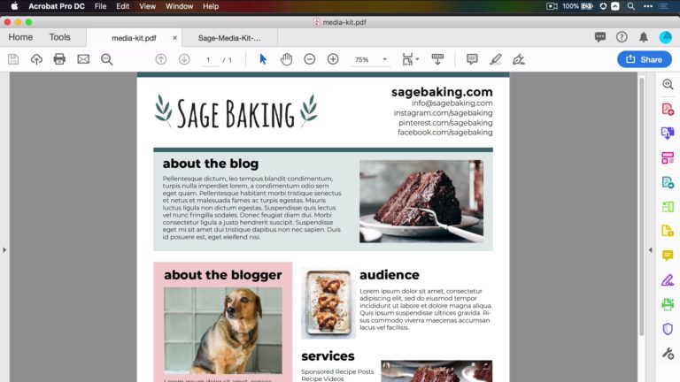 Front page of Sage Baking's Media Kit within Food Blogger Pro course on media kits