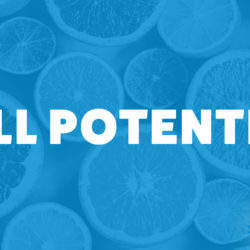 An image of oranges and the title of the 223rd episode on the Food Blogger Pro Podcast, 'Full Potential.'
