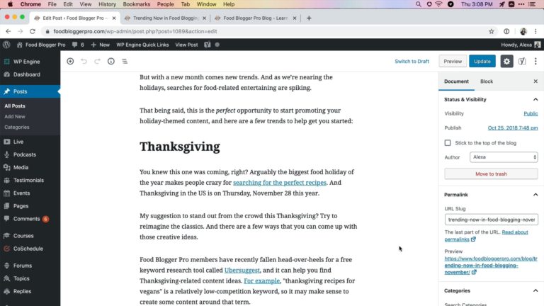 Food Blogger Pro Updating Old Posts course
