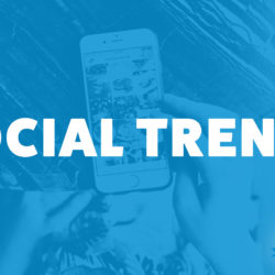 An image of Instagram on a phone and the title of the 241st episode on the Food Blogger Pro Podcast, 'Social Trends.'