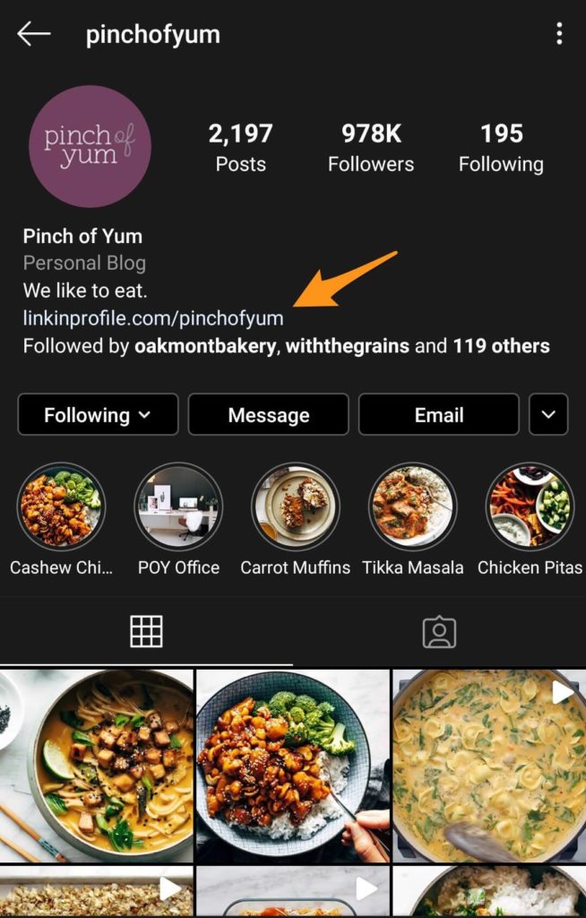 A screenshot of the @pinchofyum profile on Instagram with an arrow pointing to the URL