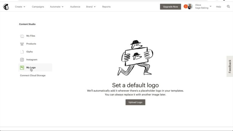 Setting a logo in Mailchimp as part of Food Blogger Pro's Mailchimp course