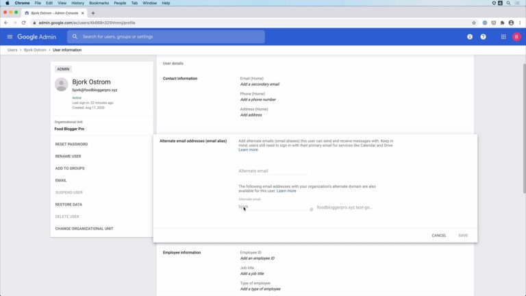 Bjork explaining aliases and groups as part of Food Blogger Pro's G Suite course