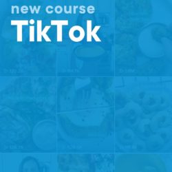 Blue graphic of Tiktok feed that reads 'New Course: TikTok' with Food Blogger Pro logo