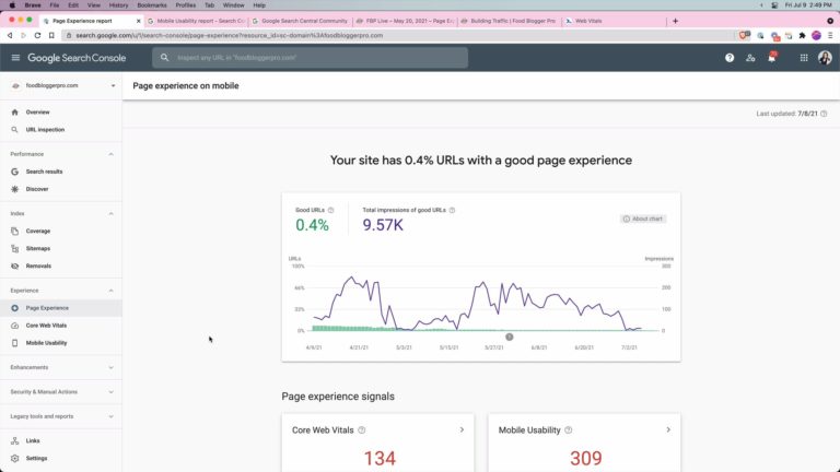 Screenshot of Page Experience page on the Food Blogger Pro Google Search Console account