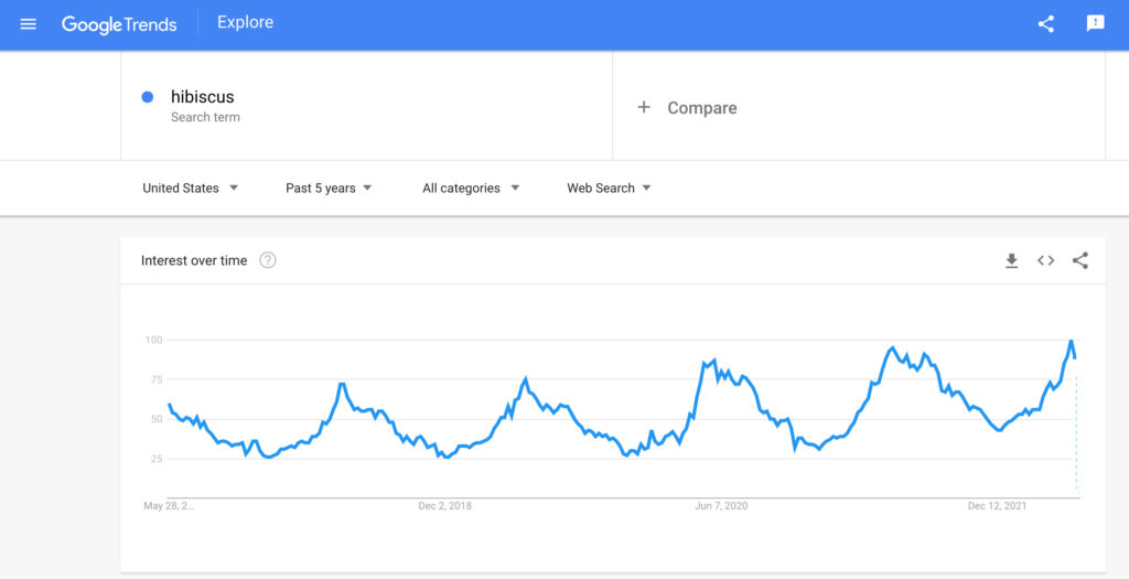 Google trends result for hibiscus