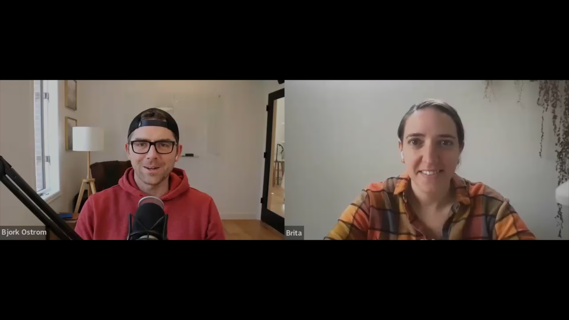 Zoom call with Bjork Ostrom and Brita Britnell