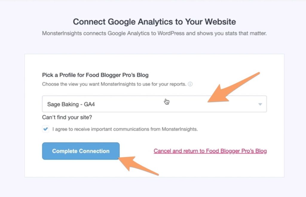 The property selector with the Complete Connection button in the MonsterInsights setup wizard