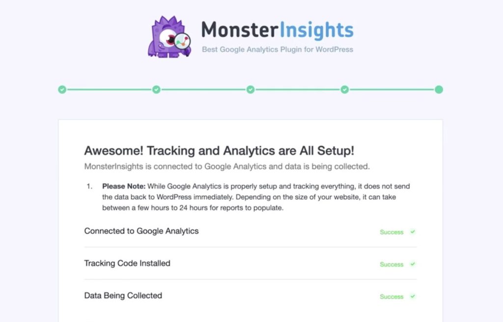 Successful connection in MonsterInsights