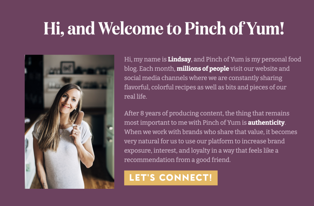 A screenshot of Pinch of Yum's introduction section of their media kit.