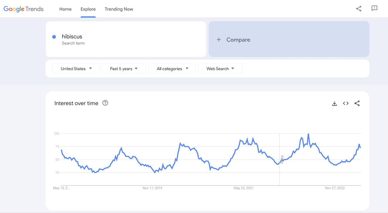 The Google Trends results for hibiscus. 
