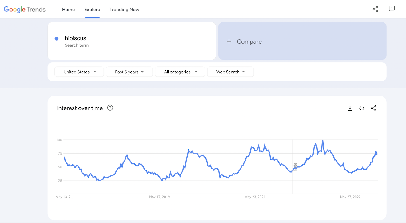 The Google Trends results for hibiscus.