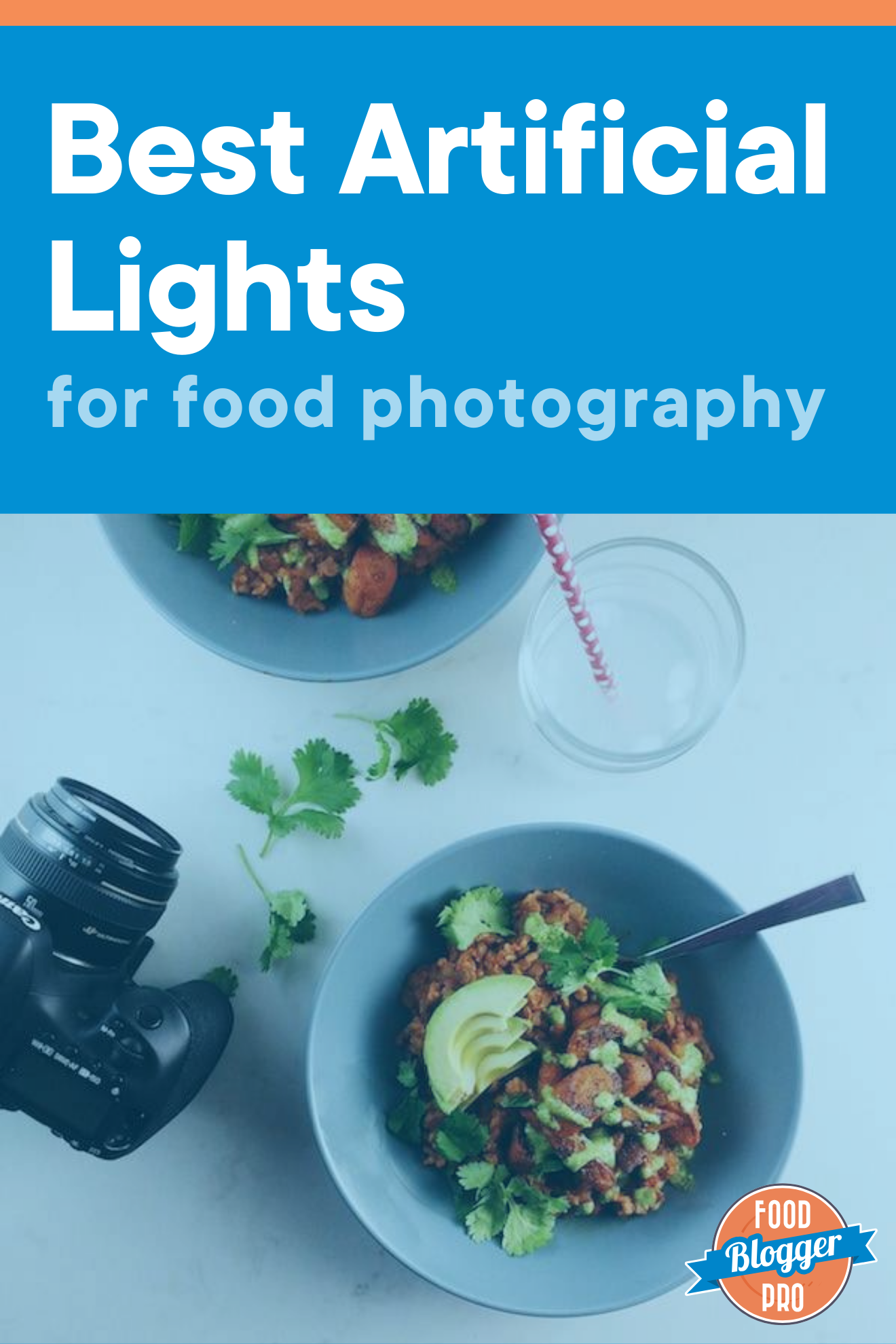 A photograph of two bowls of food with a cup of water and a Canon camera with the title of the blog post ('Best Artificial Lights for Food Photography') across the top.