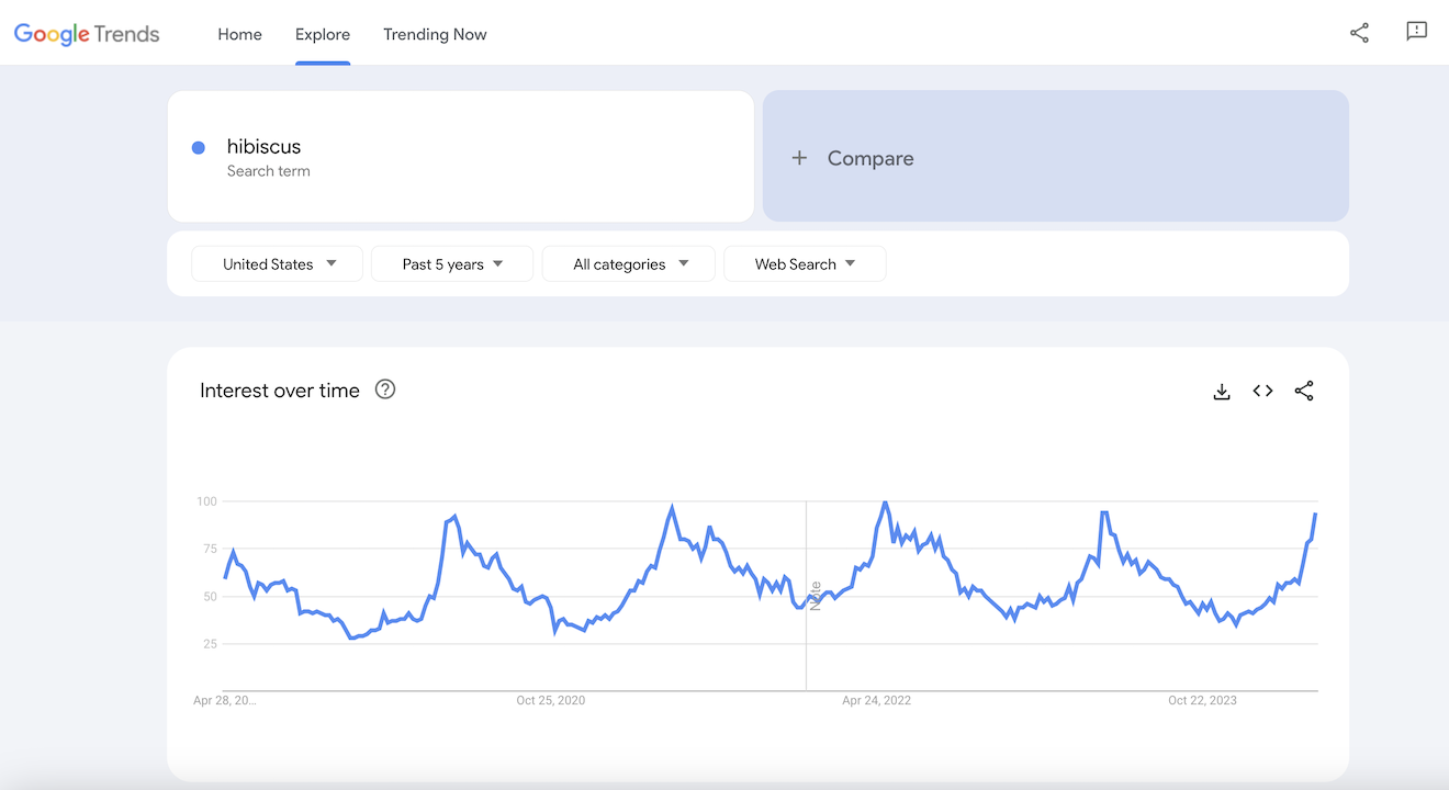 Google Trends results for hibiscus.