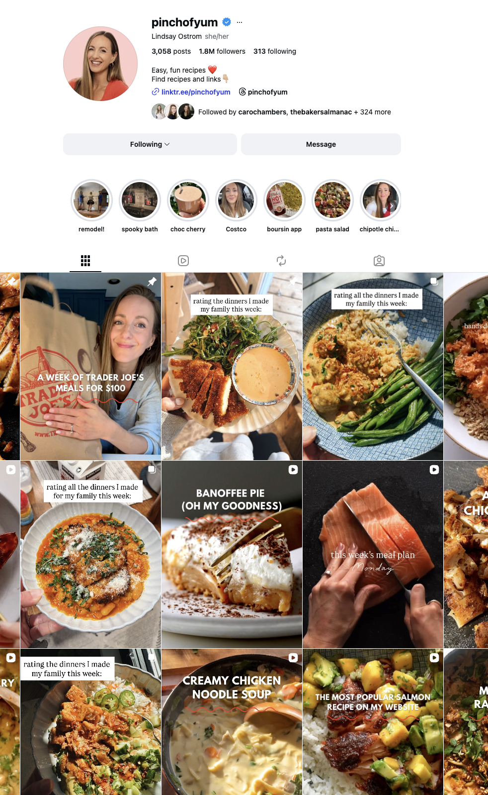 A screenshot of the Pinch of Yum Instagram profile