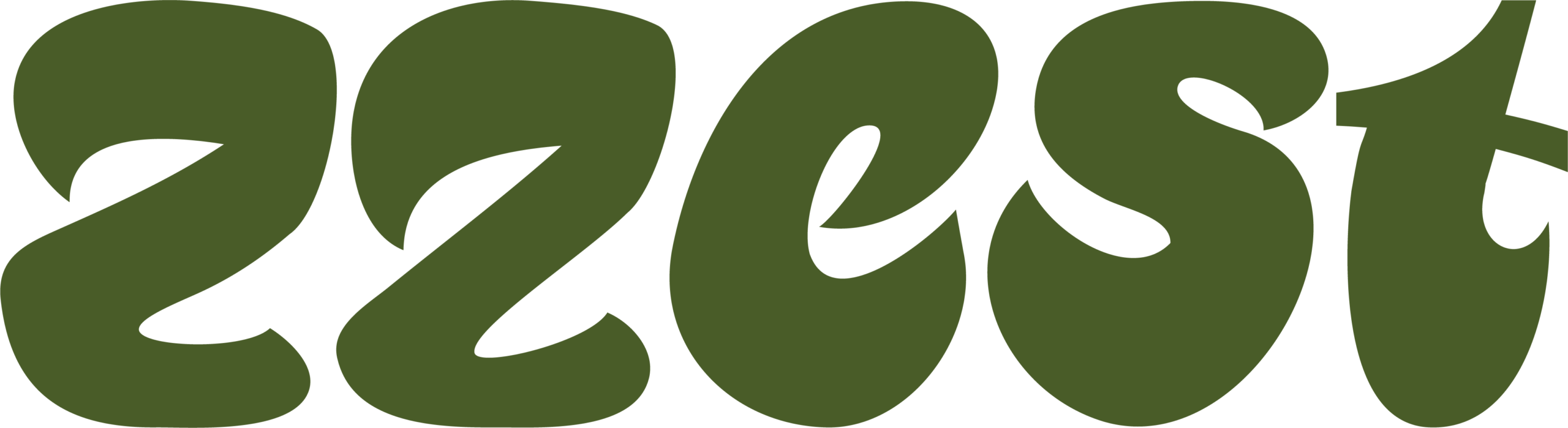 zZest logo